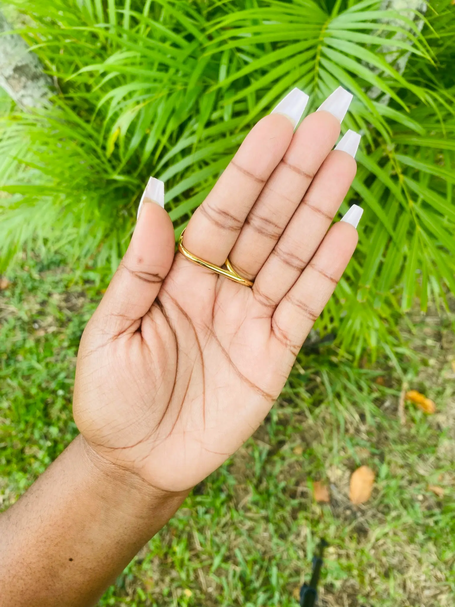 Gold Double Curved Ring